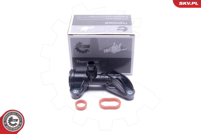 Thermostat, coolant